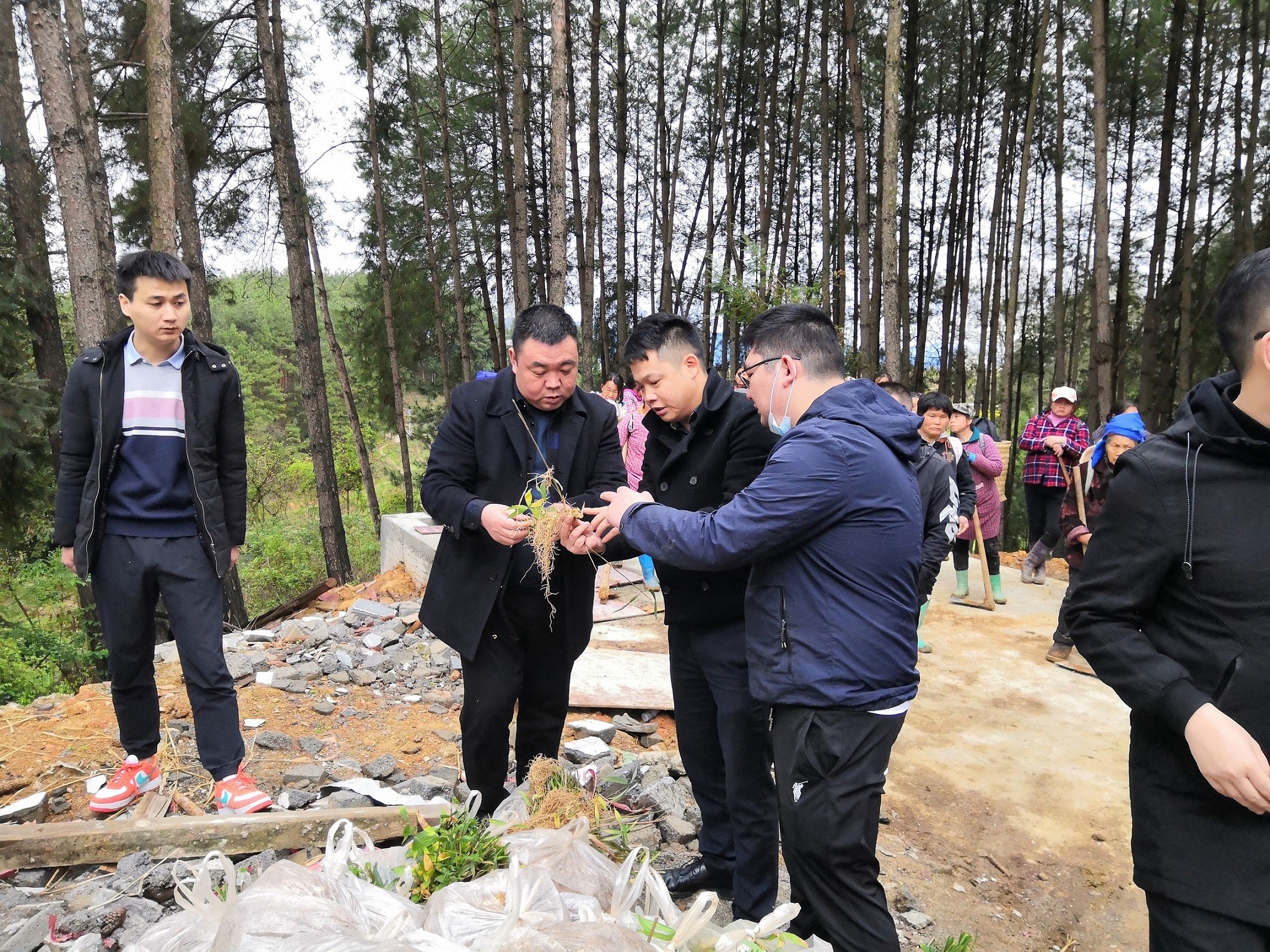 銅仁市城交集團九龍地礦公司總經(jīng)理王剛一行前往石阡縣國家儲備林項目（五期）檢查工作